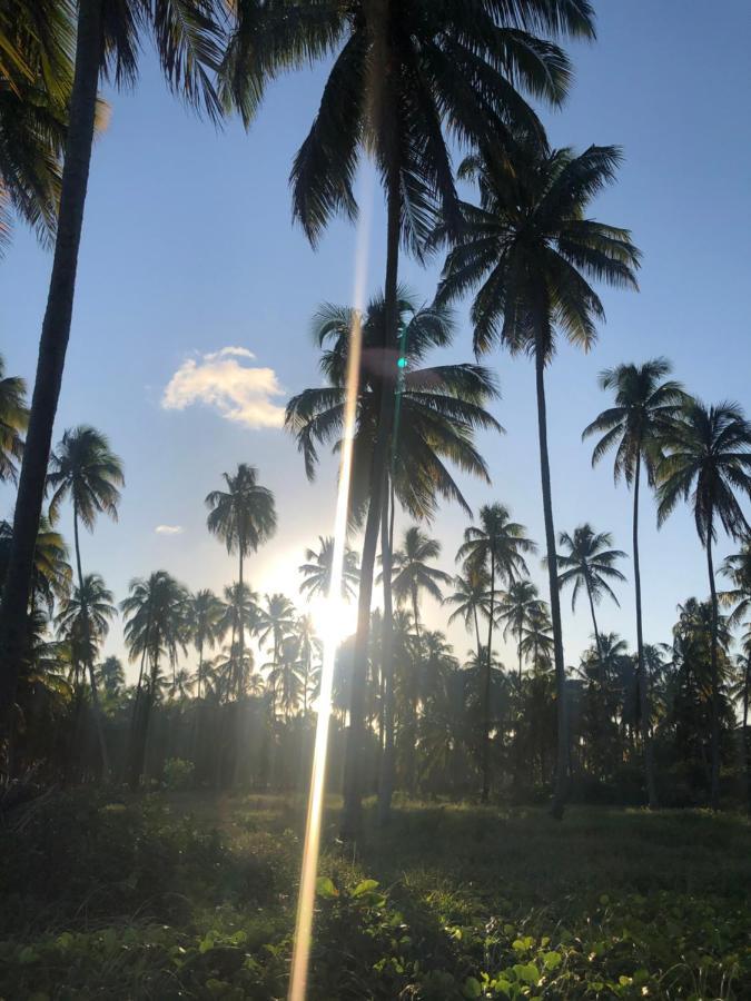 Le Petit Suítes De Lages